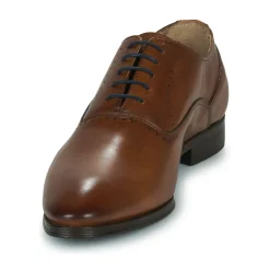 New Pellet - AKIN VEAUCOGNAC