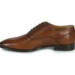 New Pellet - AKIN VEAUCOGNAC