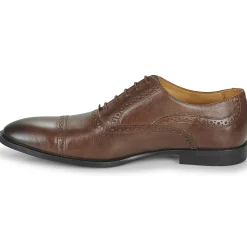 Online Pellet - ALEX VEAUMARRON