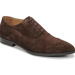 Pellet - ALEX VELOURSMARRON Best