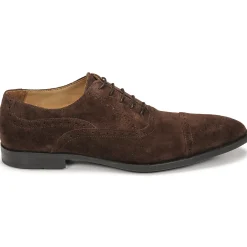 Pellet - ALEX VELOURSMARRON Best