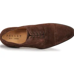 Pellet - ALEX VELOURSMARRON Best