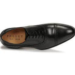 Pellet - ALEX VEAULISSENOIR Best