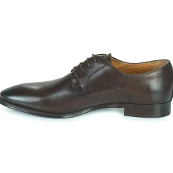 Best Pellet - ALFRED VEAUMARRON