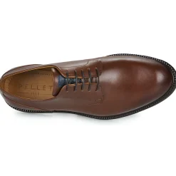 Pellet - ALI Veaulissebrossechataigne