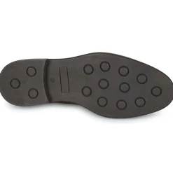 Pellet - ALI Veaulissebrossechataigne