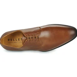 Online Pellet - ALIBI VEAUBRANDY