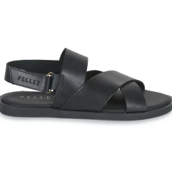 Pellet - ANGEL Veaulissenoir Outlet