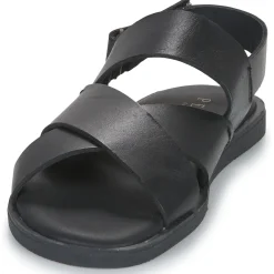 Pellet - ANGEL Veaulissenoir Outlet