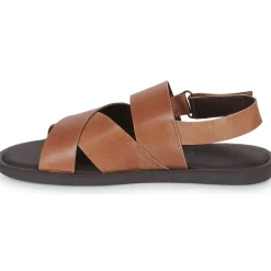 Online Pellet - ANGEL VEAUCOGNAC