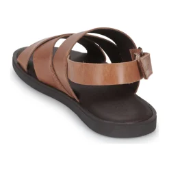 Online Pellet - ANGEL VEAUCOGNAC