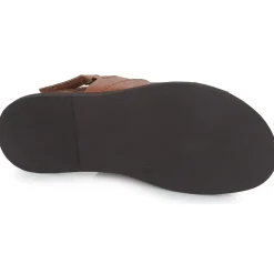 Online Pellet - ANGEL VEAUCOGNAC