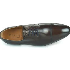 Online Pellet - ANTOINE VEAUMARRON