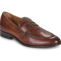 Pellet - ANTON Veaulissebrossecognac Hot