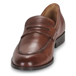 Pellet - ANTON Veaulissebrossecognac Hot