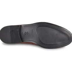 Pellet - ANTON Veaulissebrossecognac Hot