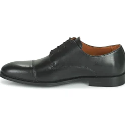 Pellet - ARTHUR Veaunoir Clearance