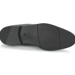 Pellet - ARTHUR Veaunoir Clearance