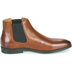 Pellet - BILL VEAUGOLD Hot