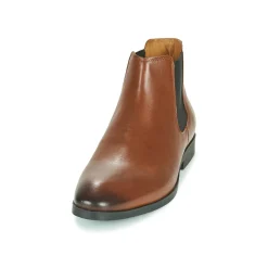 Pellet - BILL VEAUGOLD Hot