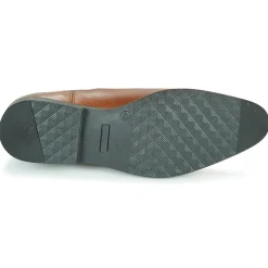 Pellet - BILL VEAUGOLD Hot