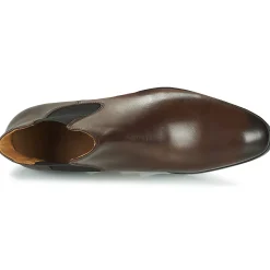 Online Pellet - BILL VEAUCHOCOLAT