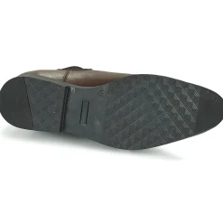 Online Pellet - BILL VEAUCHOCOLAT