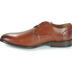 Pellet - BILLY VEAULISSECOGNAC Hot