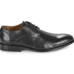 Best Pellet - BILLY VEAULISSENOIR