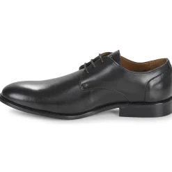 Best Pellet - BILLY VEAULISSENOIR