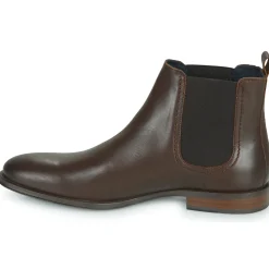 Online Pellet - BLAISE VEAUMARRON