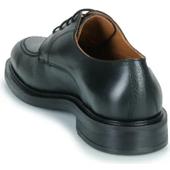 Pellet - BRUNO Veaulissebrossenoir Hot