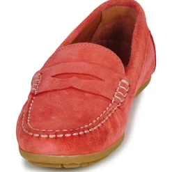 Pellet - CADORNA Velourscorail