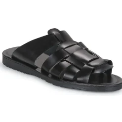 Pellet - DAVID VEAULISSENOIR New