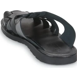 Pellet - DAVID VEAULISSENOIR New