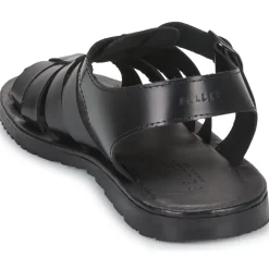 Clearance Pellet - DENIS VEAULISSENOIR