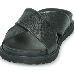 Best Pellet - FELIPE Veaugrainenoir