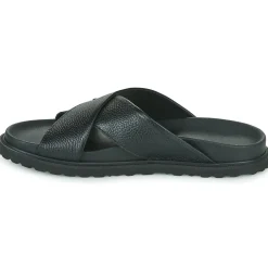 Best Pellet - FELIPE Veaugrainenoir