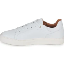 Discount Pellet - JOSEPH VEAUBLANC