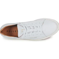 Discount Pellet - JOSEPH VEAUBLANC