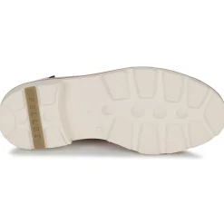 Clearance Pellet - MACHA Veloursrose