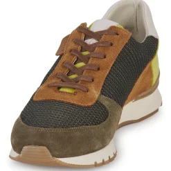 Pellet - MALO Clearance