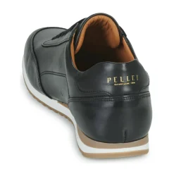 Best Pellet - MARC VEAUNOIR