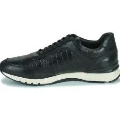 Outlet Pellet - MAXIM VEAUNOIR