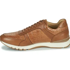 Pellet - MAXIM VEAUMARRON Online