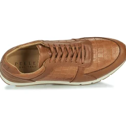 Pellet - MAXIM VEAUMARRON Online