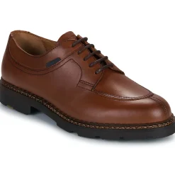 Pellet - MONTARIO VEAUCHATAIGNE Online