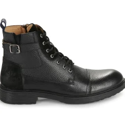 New Pellet - NATHAN VEAUGRAINENOIR