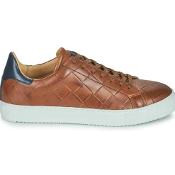 Hot Pellet - ORSON VEAUMARRON