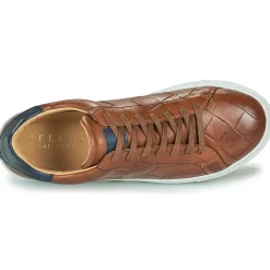 Hot Pellet - ORSON VEAUMARRON